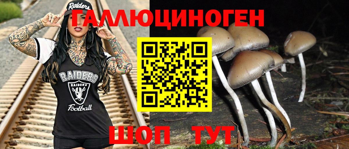 Пугачёв  Галлюциногенные грибы MAGIC MUSHROOMS  Вход с VPN 