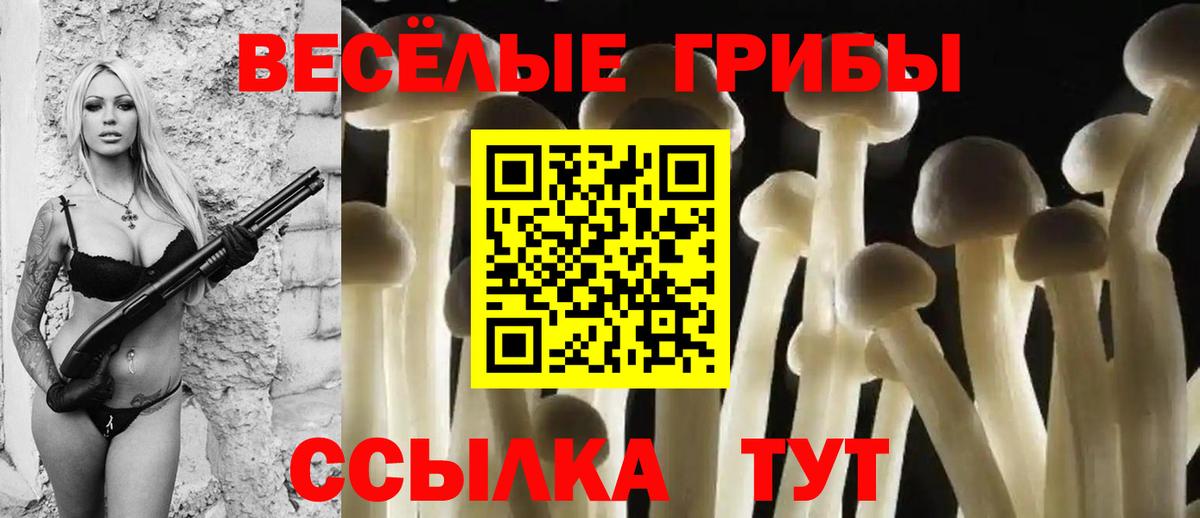 Галлюциногенные грибы Magic Shrooms Пугачёв