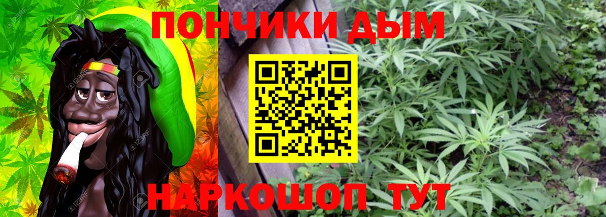 Конопля индика  Канабис сатива  Пугачёв  Вход с VPN 